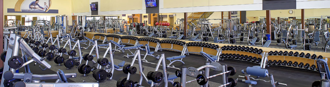 24 hour fitness